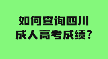 如何查询四川成人高考成绩?