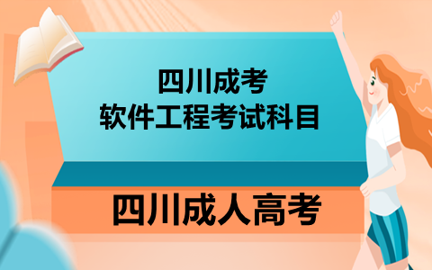 四川成人高考软件工程